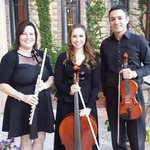 Chamber Trio, Paint It Black Trio - Shannon, Beth and Francis 